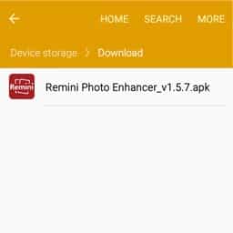 remini download